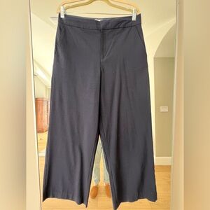 Everlane Navy Wide Leg Pants. Size 8